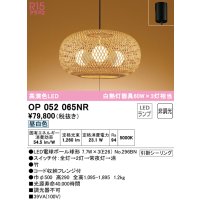 オーデリック　OP052065NR(ランプ別梱)　ペンダントライト 非調光 和風 LEDランプ 昼白色 フレンジタイプ 竹