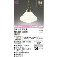 オーデリック　OP210570LR　ペンダントライト 非調光 LEDランプ 電球色 フレンジタイプ