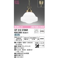 オーデリック　OP210570NR(ランプ別梱)　ペンダントライト 非調光 LEDランプ 昼白色 フレンジタイプ