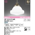 オーデリック　OP210571NR(ランプ別梱)　ペンダントライト 非調光 LEDランプ 昼白色 フレンジタイプ