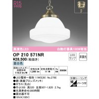 オーデリック　OP210571NR(ランプ別梱)　ペンダントライト 非調光 LEDランプ 昼白色 フレンジタイプ