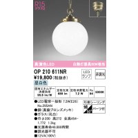 オーデリック　OP210611NR(ランプ別梱)　ペンダントライト 非調光 LEDランプ 昼白色 フレンジタイプ