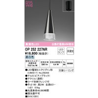オーデリック　OP252227NR(ランプ別梱)　ペンダントライト 非調光 LEDランプ 昼白色 フレンジタイプ ピアノブラック