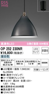 オーデリック　OP252230NR(ランプ別梱)　ペンダントライト 非調光 LEDランプ 昼白色 フレンジタイプ ブラック