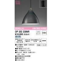 オーデリック　OP252230NR(ランプ別梱)　ペンダントライト 非調光 LEDランプ 昼白色 フレンジタイプ ブラック