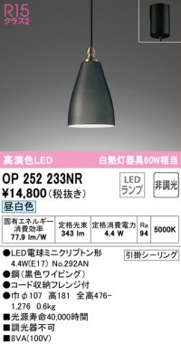 オーデリック　OP252233NR(ランプ別梱)　ペンダントライト 非調光 LEDランプ 昼白色 フレンジタイプ ブラック