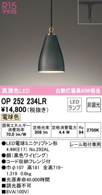 オーデリック　OP252234LR　ペンダントライト 非調光 LEDランプ 電球色 プラグタイプ ブラック