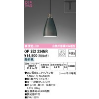 オーデリック　OP252234NR(ランプ別梱)　ペンダントライト 非調光 LEDランプ 昼白色 プラグタイプ ブラック