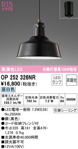 オーデリック　OP252326NR(ランプ別梱)　ペンダントライト 非調光 LEDランプ 昼白色 フレンジタイプ ブラック