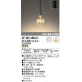 オーデリック　OP252343LC1(ランプ別梱包)　ペンダントライト LEDランプ 連続調光 電球色 調光器別売 引掛シーリング グレー [♭]