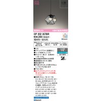 オーデリック　OP252357BR　ペンダントライト 調光 調色 Bluetooth コントローラー別売 LED一体型 電球色〜昼光色 フレンジタイプ ステンドグラス
