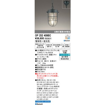 画像1: オーデリック OP252409BC(ランプ別梱) ペンダントライト 調光調色 Bluetooth リモコン別売 LEDランプ フレンジタイプ 簡易防雨型 チャコールグレー