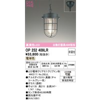 オーデリック　OP252409LR(ランプ別梱)　ペンダントライト 非調光 LEDランプ 電球色 フレンジタイプ チャコールグレー