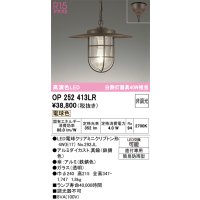 オーデリック　OP252413LR(ランプ別梱)　ペンダントライト 非調光 LEDランプ 電球色 フレンジタイプ 鉄錆色