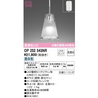 オーデリック　OP252543NR(ランプ別梱)　ペンダントライト 非調光 LEDランプ 昼白色 フレンジタイプ