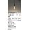 画像1: オーデリック　OP252552LC(ランプ別梱)　ペンダントライト LED電球フィラメント形 調光 プラグ 電球色 調光器別売 [♭] (1)