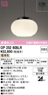 オーデリック　OP252608LR(ランプ別梱)　ペンダントライト 非調光 和風 LEDランプ 電球色 フレンジタイプ 黒色
