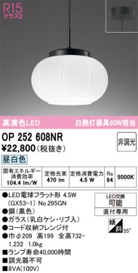 オーデリック　OP252608NR(ランプ別梱)　ペンダントライト 非調光 和風 LEDランプ 昼白色 フレンジタイプ 黒色