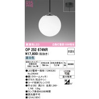 オーデリック　OP252674NR(ランプ別梱)　ペンダントライト 非調光 LEDランプ 昼白色 フレンジタイプ クロームメッキ