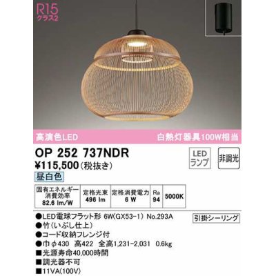 画像1: オーデリック　OP252737NDR(ランプ別梱)　ペンダントライト 非調光 和風 LEDランプ 昼白色 フレンジタイプ 竹