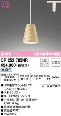 オーデリック　OP252785NR(ランプ別梱)　ペンダントライト 非調光 LEDランプ 昼白色 プラグタイプ クリア