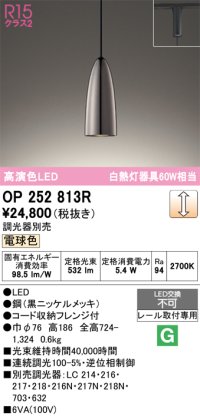 オーデリック　OP252813R　ペンダントライト 調光 調光器別売 LED一体型 電球色 プラグタイプ 黒ニッケルメッキ