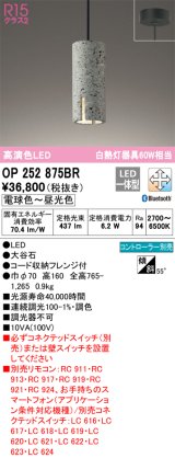 オーデリック　OP252875BR　ペンダントライト 調光 調色 Bluetooth コントローラー別売 LED一体型 電球色〜昼光色 フレンジタイプ 大谷石