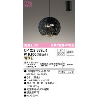 オーデリック　OP252889LR(ランプ別梱)　ペンダントライト 非調光 LEDランプ 電球色 フレンジタイプ 黒色