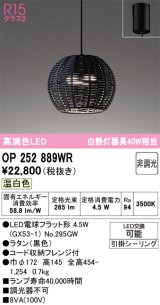 オーデリック　OP252889WR(ランプ別梱)　ペンダントライト 非調光 LEDランプ 温白色 フレンジタイプ 黒色