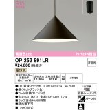 オーデリック　OP252891LR(ランプ別梱)　ペンダントライト 非調光 LEDランプ 電球色 フレンジタイプ マットブラック