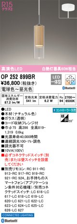 オーデリック　OP252899BR　ペンダントライト 調光 調色 Bluetooth コントローラー別売 LED一体型 電球色〜昼光色 フレンジタイプ ナチュラル