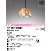 オーデリック　OP252909NR(ランプ別梱)　ペンダントライト 非調光 和風 LEDランプ 昼白色 フレンジタイプ 竹