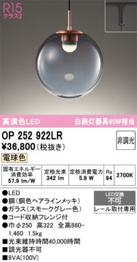 【納期未定】オーデリック　OP252922LR　ペンダントライト 非調光 LED一体型 電球色 プラグタイプ スモークグレー