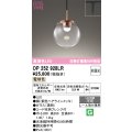 オーデリック　OP252928LR　ペンダントライト 非調光 LED一体型 電球色 プラグタイプ