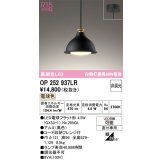 オーデリック　OP252937LR(ランプ別梱)　ペンダントライト 非調光 LEDランプ 電球色 フレンジタイプ 黒色