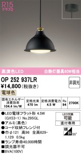 オーデリック　OP252937LR(ランプ別梱)　ペンダントライト 非調光 LEDランプ 電球色 フレンジタイプ 黒色