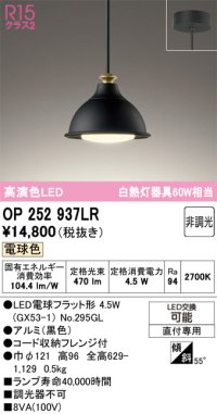オーデリック　OP252937LR(ランプ別梱)　ペンダントライト 非調光 LEDランプ 電球色 フレンジタイプ 黒色