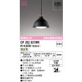 オーデリック　OP252937WR(ランプ別梱)　ペンダントライト 非調光 LEDランプ 温白色 フレンジタイプ 黒色