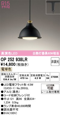 オーデリック　OP252938LR(ランプ別梱)　ペンダントライト 非調光 LEDランプ 電球色 プラグタイプ 黒色