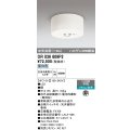 オーデリック　OR036609P2　非常灯・誘導灯 リモコン別売 LED一体型 昼白色中天井用(〜6m) ホワイト