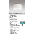 オーデリック　OR036809P2　非常灯・誘導灯 リモコン別売 LED一体型 昼白色中天井用(〜8m) ホワイト