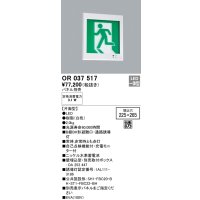 オーデリック　OR037517　非常灯・誘導灯 □225×265 パネル別売 LED一体型 壁埋込 B級BH形 片面型