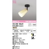 オーデリック　OS256163LR(ランプ別梱)　スポットライト 非調光 和風 LEDランプ 電球色 フレンジタイプ 波佐見焼