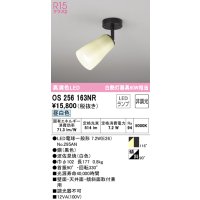 オーデリック　OS256163NR(ランプ別梱)　スポットライト 非調光 和風 LEDランプ 昼白色 フレンジタイプ 波佐見焼