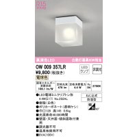 オーデリック　OW009357LR　バスルームライト 非調光 LEDランプ 電球色 防雨型 ホワイト