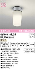 オーデリック OW009395LCR(ランプ別梱) エクステリア ポーチライト LED 電球色 高演色LED R15 防雨・防湿型 シルバー