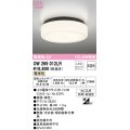 オーデリック　OW269012LR(ランプ別梱)　バスルームライト 非調光 LEDランプ 電球色 防雨・防湿型 ブラック