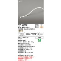 オーデリック TF0600E 間接照明 テープライト 長6000 調光(調光器別売) 電源装置・信号線別売 LED一体型 電球色 防雨型 受注生産 [§]