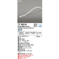 オーデリック TF0951B 間接照明 テープライト 長9510 調光(調光器別売) 電源装置・信号線別売 LED一体型 昼白色 防雨型 受注生産 [§]