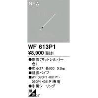 オーデリック WF613P1 シーリングファン 部材 延長パイプ 長900 マットシルバー
